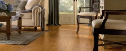 Laminate Floor Maintenance