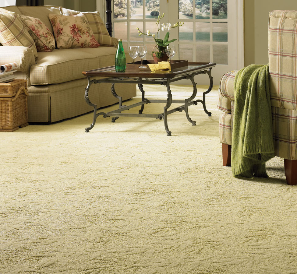 Carpet Texture Fundamentals Explained